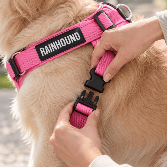 Rainhound™ Dog Harness