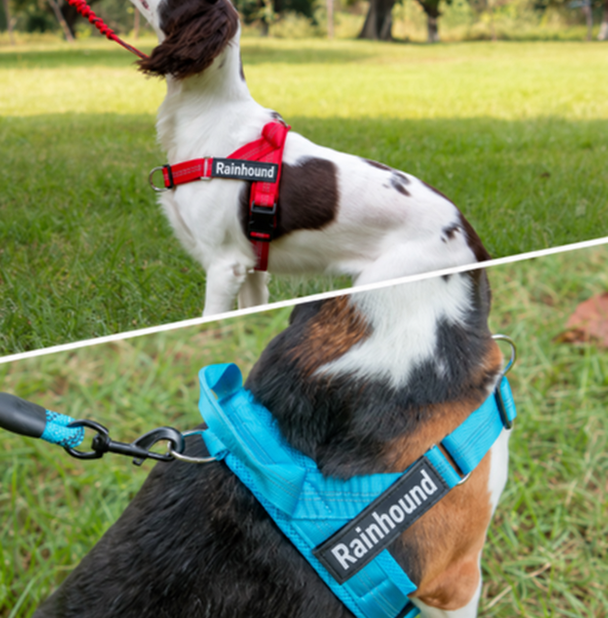Rainhound™ Dog Harness