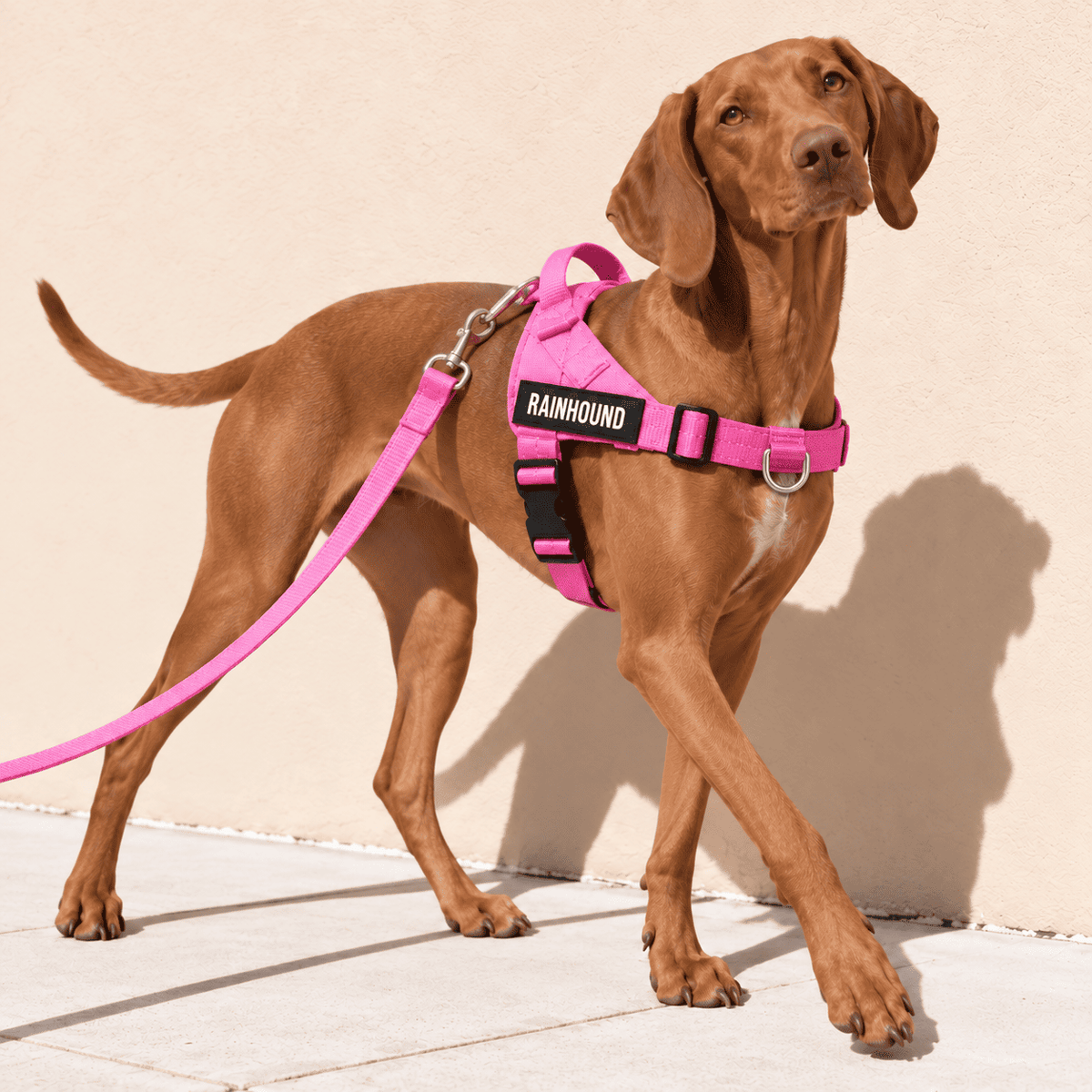 Rainhound™ Dog Harness
