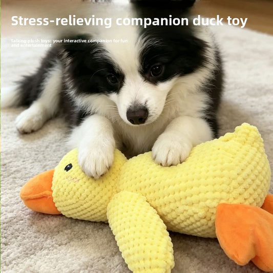 Border collie puppy resting its paws on the yellow Rainhound Squeaky Duck on a rug